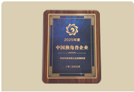 2025年度中国独角兽企业