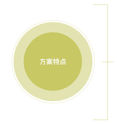 1+1方案特点
